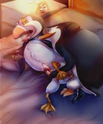 Rule34 - If it exists, there is porn of it  leokatana, hans, private ( madagascar), skipper  162535