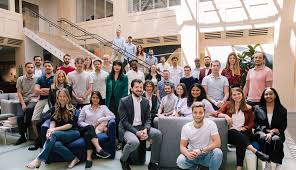 Image result for Vepris myrei