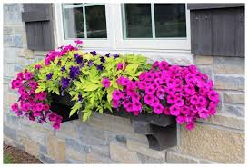 Colorful Full Sun Planters Google Search Jardineria En Macetas Jardin En Balcon Flores Colgantes