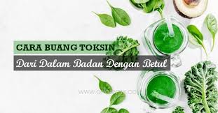 Cara hilangkan toksin dalam badan. Cara Buang Toksin Dalam Badan Dengan Betul Ohcantik Com