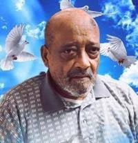 Louis Bailey Williams