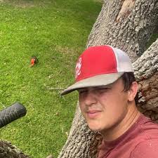 Oteys Tree and Lawn care service