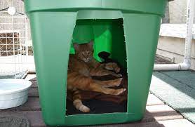 This is the easiest, fastest and cheapest shelters that you can make for a few bucks. Help Out A Feral Cat By Making This Cheap And Easy Shelter Video Outdoor Cat House Feral Cats Outdoor Cat Shelter