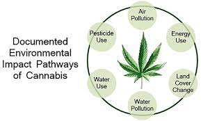 Cannabis And The Environment: What Science Tells Us And What We Still Need  To Know | Environmental Science & Technology Letters