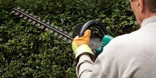 Nachbarschaftsrecht Was Tun Bei Streit An Der Hecke Mz De