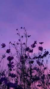 Download 40+ free pastel purple wallpapers and hd background images for any phone, pc, laptop or tablet. Purple Aesthetic Wallpapers Wallpaper Sun