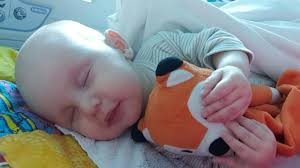 Lachlan Reed: mum appeals for the community to support Red Sock Appeal and  Kidney Health Australia.