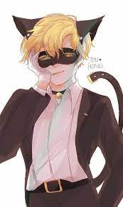 Pin By Kittynoir On Adrien Chat Noir Ladybug Cat Noir Ladybug And Chat Noir Miraculous Ladybug