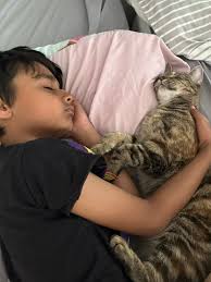 Have they been sleeping together?