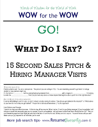 professional resume writing companies