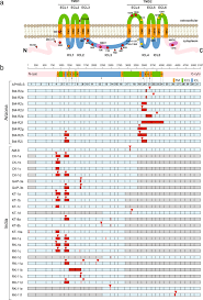 These companies employ several techniques to get rid of the bed bugs from an area. Abc Transporter Mis Splicing Associated With Resistance To Bt Toxin Cry2ab In Laboratory And Field Selected Pink Bollworm Scientific Reports