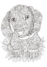 Paginas para colorear por adultos. Dibujo Para Colorear Mandala Dibujo De Un Perro