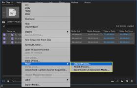 The software includes all the great features you expect from nle software including multiple video and audio tracks, color correction. 10 Tips To Improve Playback In Adobe Premiere Pro Premiere Bro