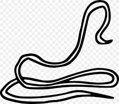 Check spelling or type a new query. Worm Drawing Dracunculiasis Dracunculus Medinensis Image Png 2189x1911px Worm Art Blackandwhite Collage Coloring Book Download Free