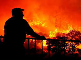 Tavira council should stop any visitors to this site until improved. Fires Consume Tavira Tourist Spots Tavira Guide