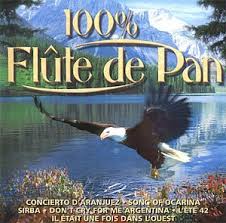 100 Flute De Pan Artistes Divers Amazon Fr Musique
