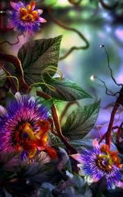 Find the best and most beautiful flower wallpapers and images! 3d Flower Wallpapers Wallpaper Cave