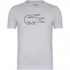 The french brand shows a passing of the torch from rené lacoste to djokovic with an advertising. Lacoste Men S T Shirt Novak Djokovic Regular Fit Th4845 Mnc