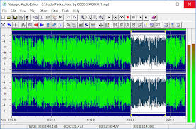 Wavepad is an outstanding, intuitive voice recording program, and comes highly recommended by our review. Naturpic Audio Editor 2 0 Free Download For Windows 10 8 7