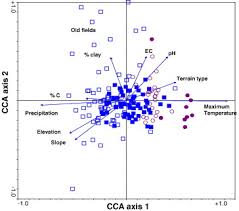 Image result for Enteropogon monostachyos