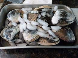 Pismo Clams Bag Limit In Under One Hour! | Bloodydecks
