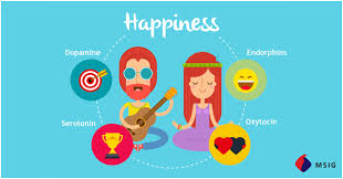 Msig Insurance Singapore Singapore Oxytocin Serotonin