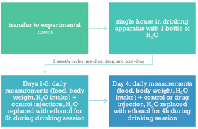 Murine Drinking Models In The Development Of Pharmacotherapies For Alcoholism Drinking In The Dark And Two Bottle Choice Protocol Translated To Arabic