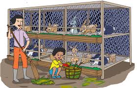 Hewan ini biasanya sapi, sedangkan sebuah paragraf di atas membahasa tentang sebuah sapi, sehingga sebuah ide pokok dalam sebuah kalimatnya adalah ( sapi ). Ide Pokok Teks Gerak Kupu Kupu Mikirbae Com