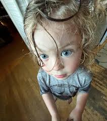 Noah Hart (@wafflenoah) • Instagram photos and videos