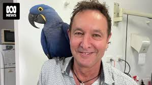 Brisbane vet returning flight status to wing-clipped birds through  specialised procedure