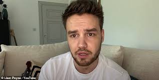 'i know i was the problem. Liam Payne Healthyfrog