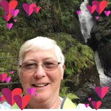 Just moved into a house but there was dog urine in the carpet.. I've  cleaned the carpet with carpet a good couple of times but i can smell the  urine can i