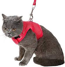 Bingpet Escape Proof Cat Harness And Leash Adjustable Soft Mesh Holster Style Best For Kitten Walking Amazon Co Uk Cat Harness Cat Leash Funny Cat Gifts
