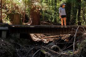 San Andreas Fault just south of Bay Area is slipping faster than previously thought, geologist says