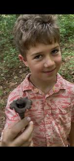 Strawberries and mushrooms found in Barron County