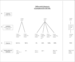 figure 1 from immunohistochemistry in bone marrow pathology