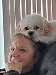 Picture Your Pet photo contest