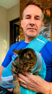 Kitty teefs are no joke 😹