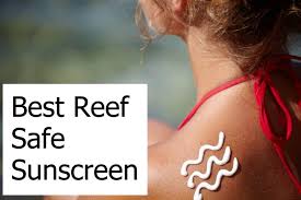 All good reef safe sunscreen butter comes in a pocket size metal container, water resistant up to 80 minutes and offers uva/uvb broad spectrum protection. Best Reef Safe Sunscreen Top 10 Reviewed