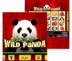 This page introduces the free online slots with bonus rounds and no download and no registration required. Big Dollar Casino No Deposit Bonus Codes 2021 Independent Preferred Marine