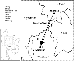 Yong sl & partners, +5 more. Paternal Genetic History Of The Yong Population In Northern Thailand Revealed By Y Chromosomal Haplotypes And Haplogroups Springerlink