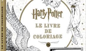 Vous n'êtes pas autorisé à lire ce forum. Harry Potter 100 Cadeaux Pour Faire Plaisir A Un Vrai Fan De La Saga Mce Tv
