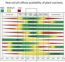 Agriculture Market Feed Blog The Andersons Plant Nutrient