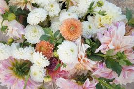 Palmer decor has been designing, high quality artificial floral and foliage home decor for over 40 years. Wasatch Blooms Utah Cut Flower Farm Association