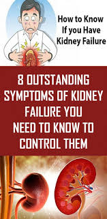 Pin On Secrets To Health Longevity