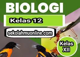 Contoh soal pg biologi kelas xii semester 1 k13 beserta jawaban soal soal pilihan ganda kelas 12 semester ganjil smama kurikulum 2013 edisi revisi dilengkapi kunci jawaban postingan ini berisikan materi pertumbuhan dan perkembangan makhluk hidup bab 1 dengan materi soal. Soal Pilihan Ganda Dan Essay Jawabannya Biologi Kelas 12 Bab 3 Materi Genetik Sekolahmuonline Com Sekolahmuonline