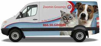 There is a whole plethora of services cat groomers offer to help keep your feline not only. Spacecoast Florida Mobile Pet Grooming Best Mobile Pet Grooming By Zoomin Groomin Eco Friendly Pet Grooming Service