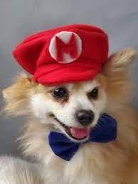 Supper Mario Hat Red Color For Dog Or Cat Small Animal Doll Etsy In 2021 Animal Dolls Dog Halloween Costumes Dog Halloween
