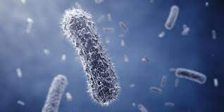 Mrsa ist der häufigste grund für infektionen der haut, der weichteile und für infektionen durch ärztliche eingriffe. Mrsa