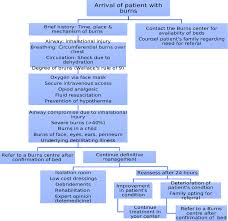 Image result for Burn Management